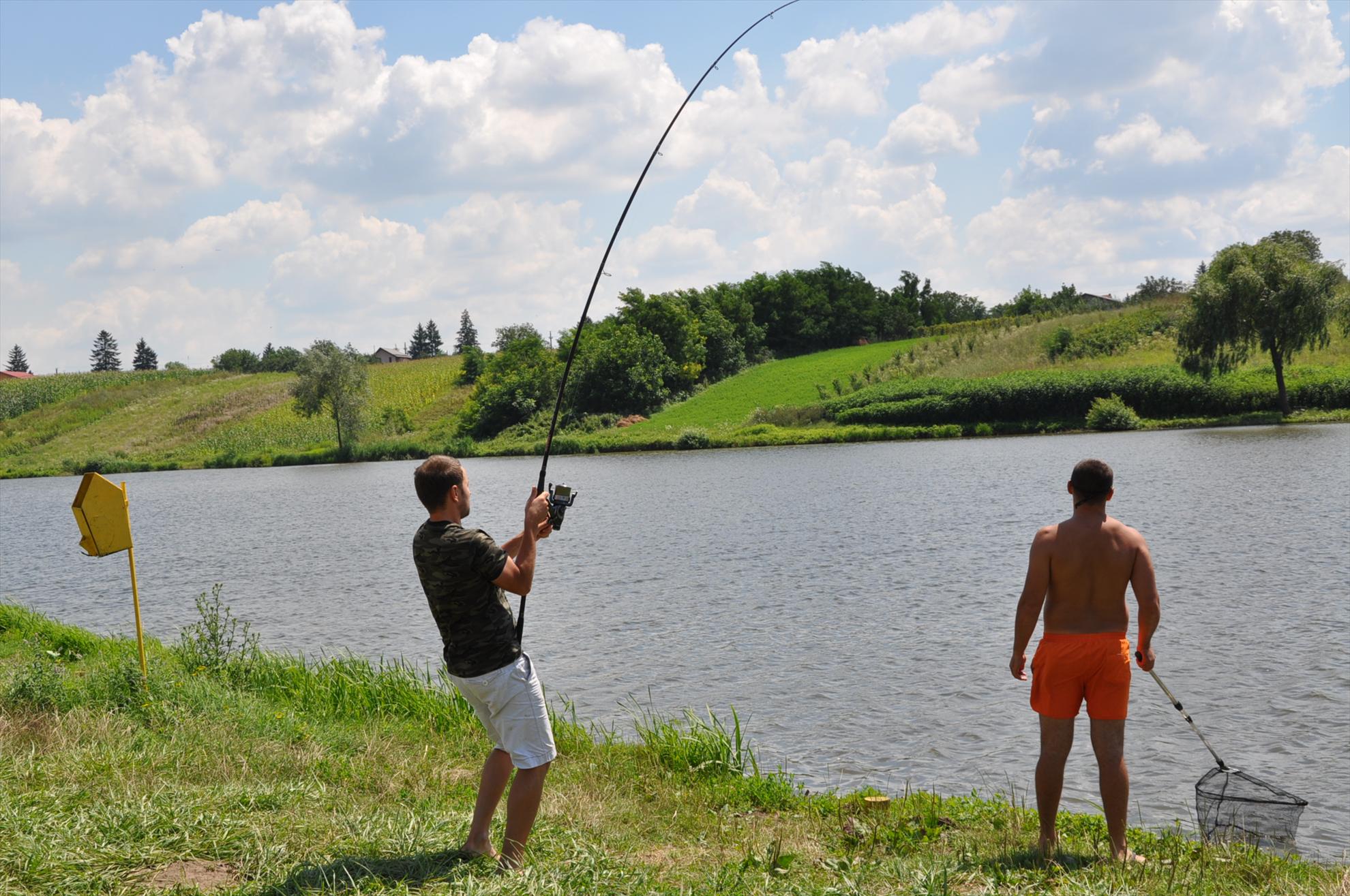 Partide 2010 - 2012 - dsc0057.JPG